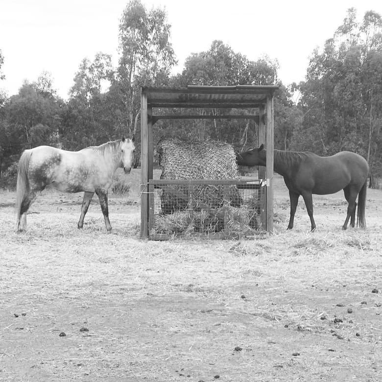 Bale Horses
